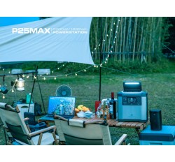 Портативная зарядная станция P25 MAX