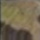 multicam.JPG (2 KB)